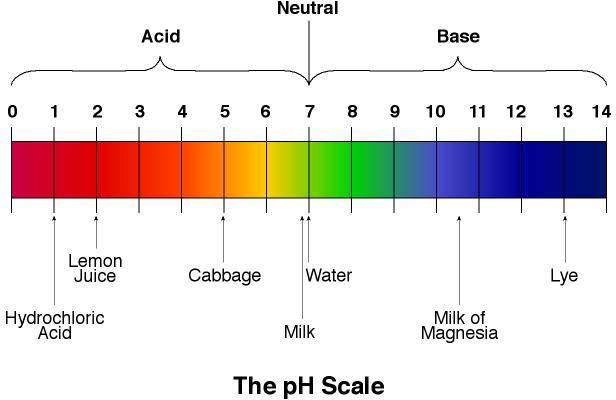 Lemon juice is an example of an acid. An acid is a substa...